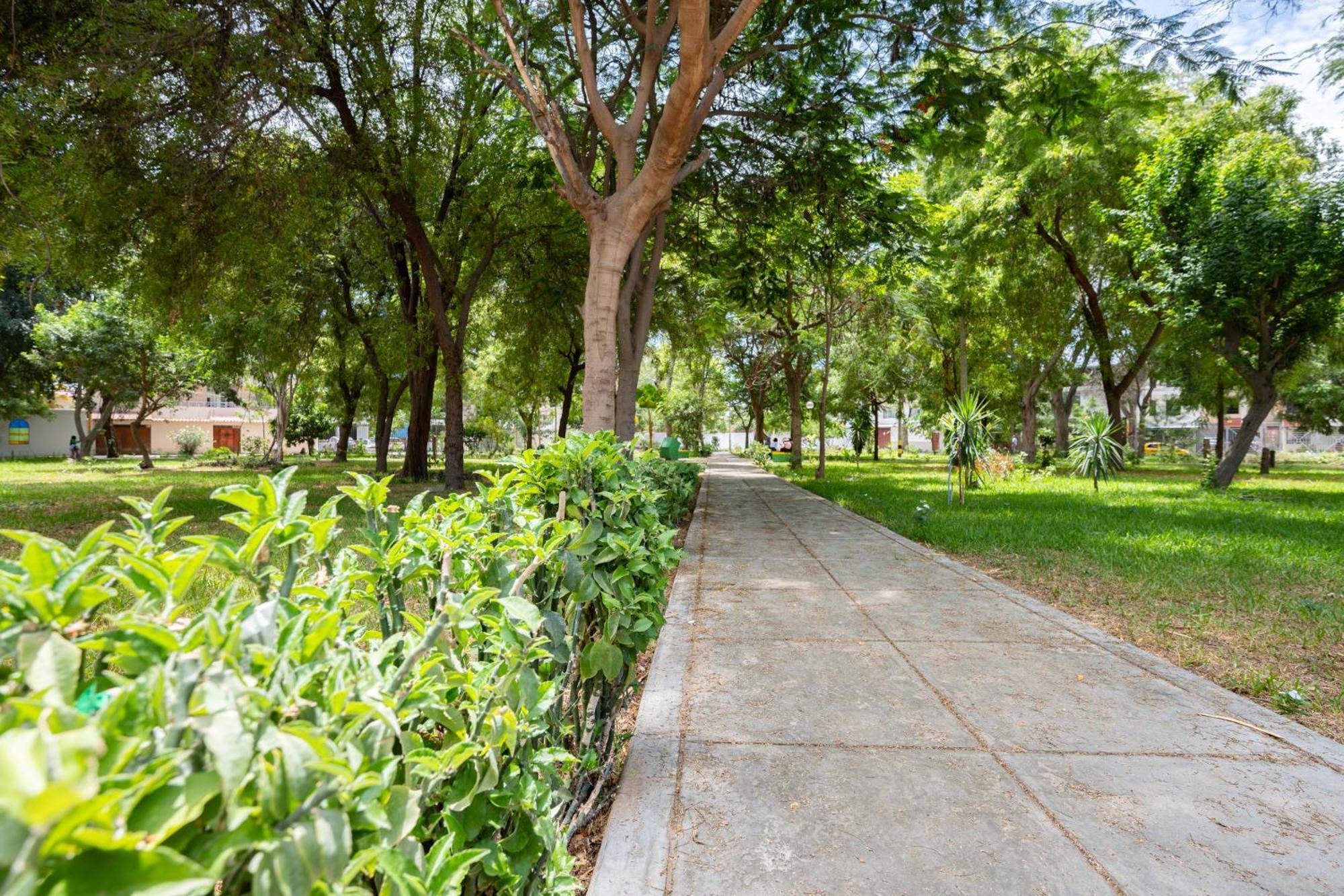 Apartment Rent Piura Dış mekan fotoğraf